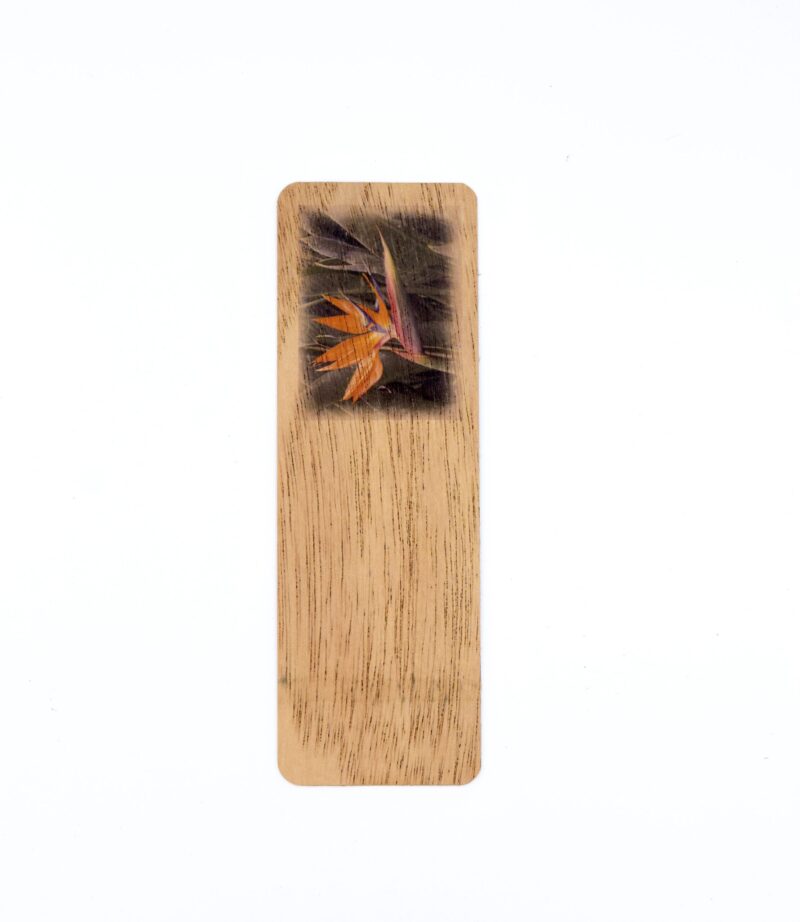 Bird of Paradise