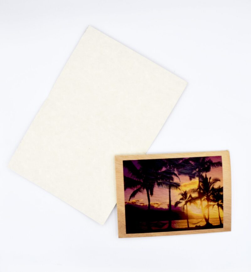Afternoon In Paradise - Image 2