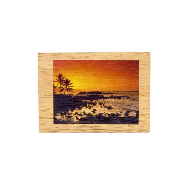 North Shore Sunset