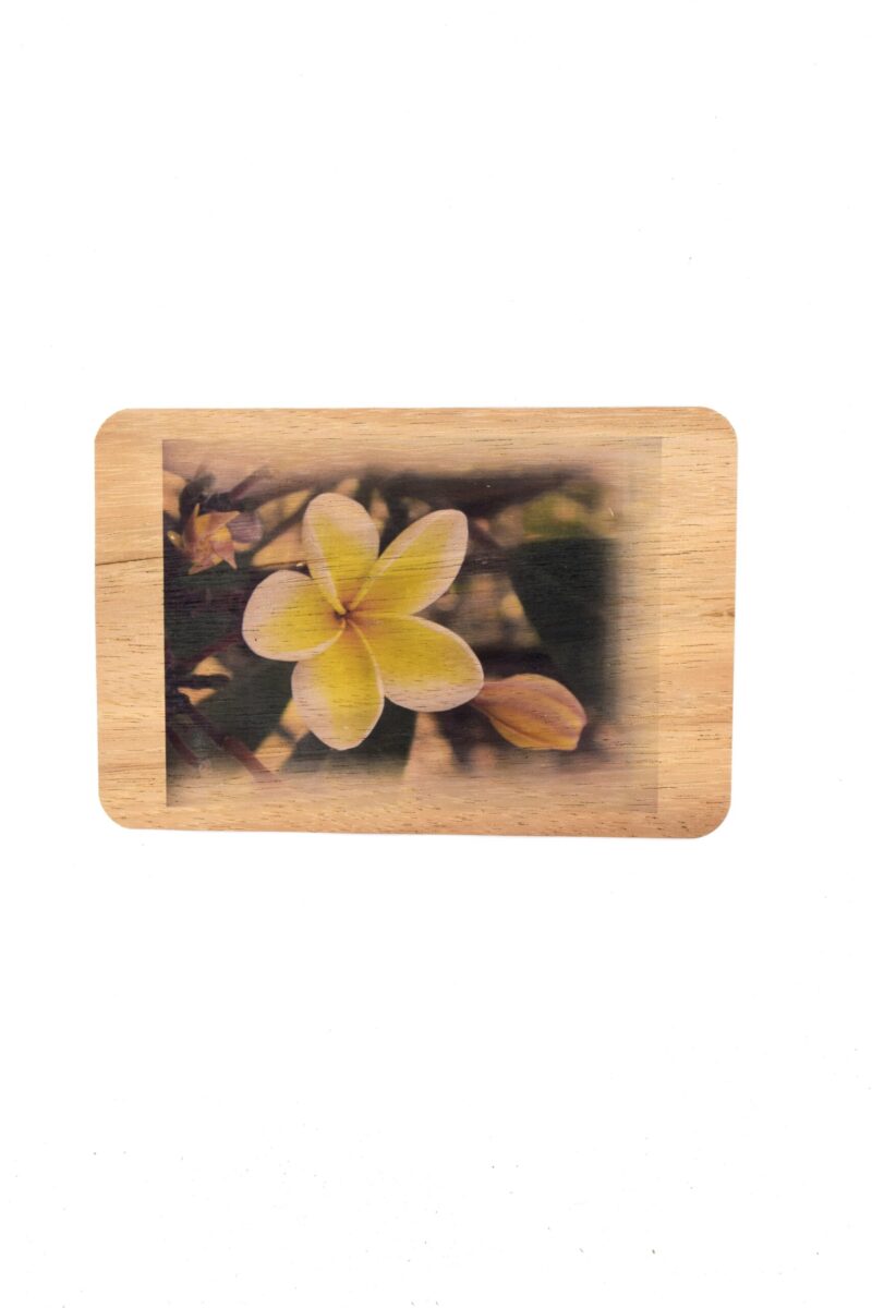 Yellow Plumeria