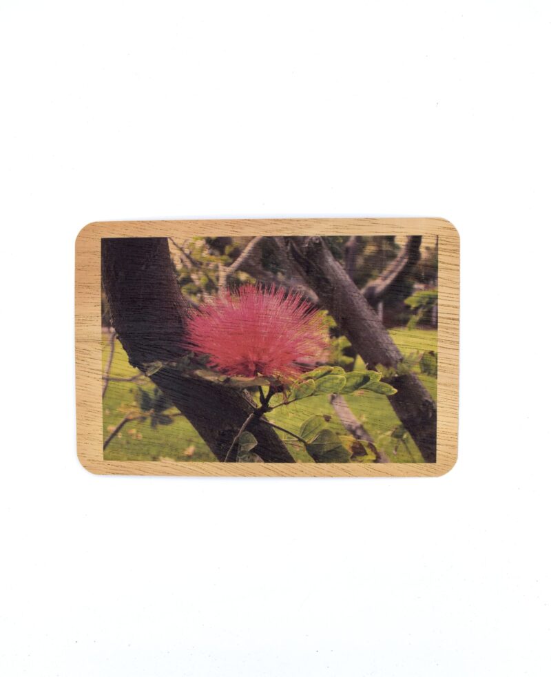 ‘Ōhi’a