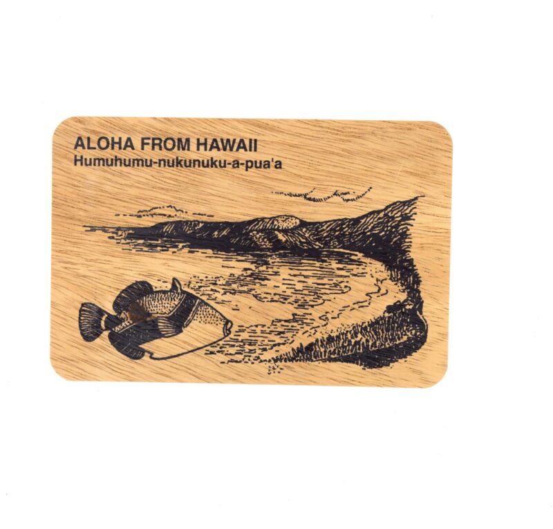 Aloha From Hawai'i