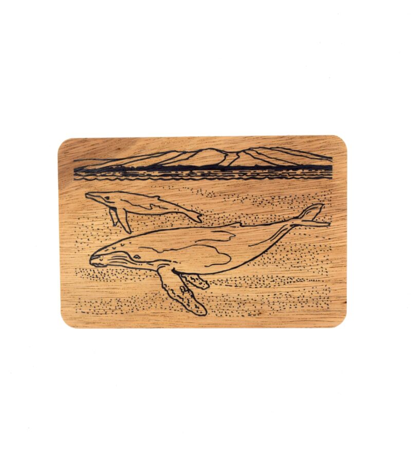 Humpback Whale