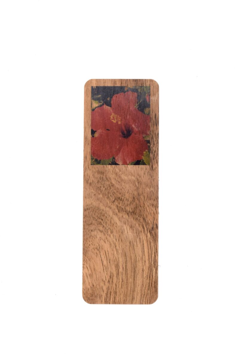 Red Hibiscus