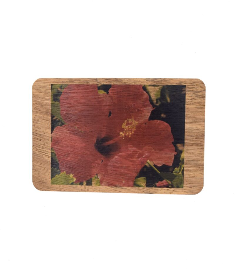 Red Hibiscus