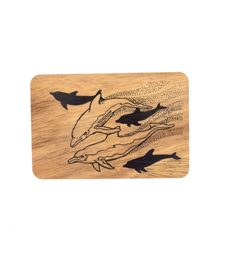 Dolphin 5