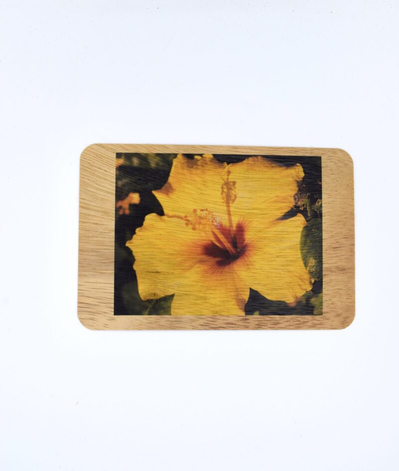 Yellow Hibiscus