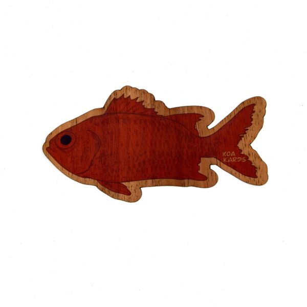 Menpachi
