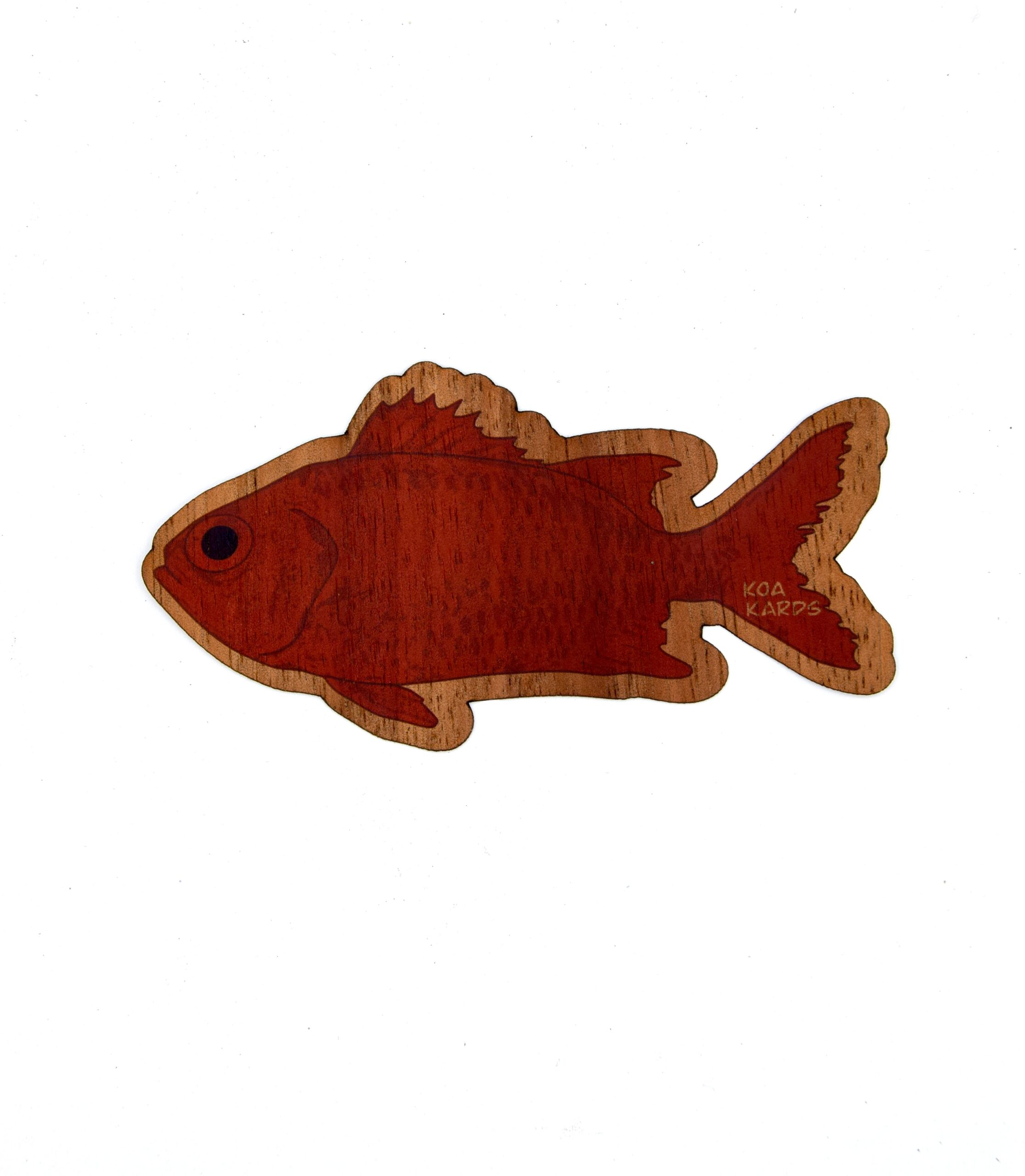 Menpachi
